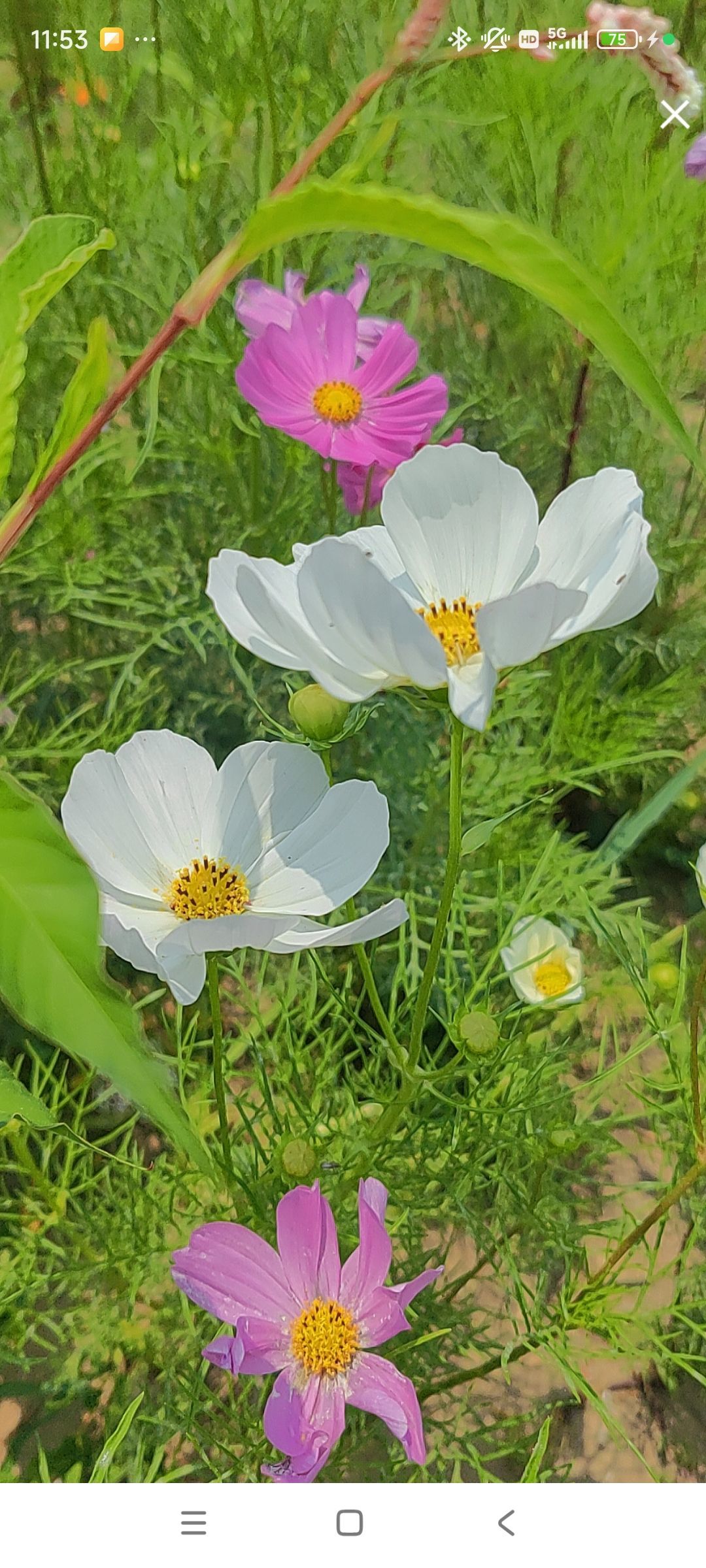 婷💕求过月底任务的图片