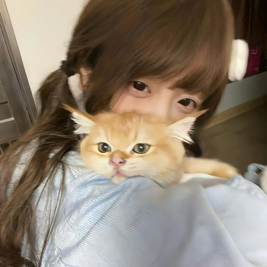 新人蜜糖八音盒🎵海报