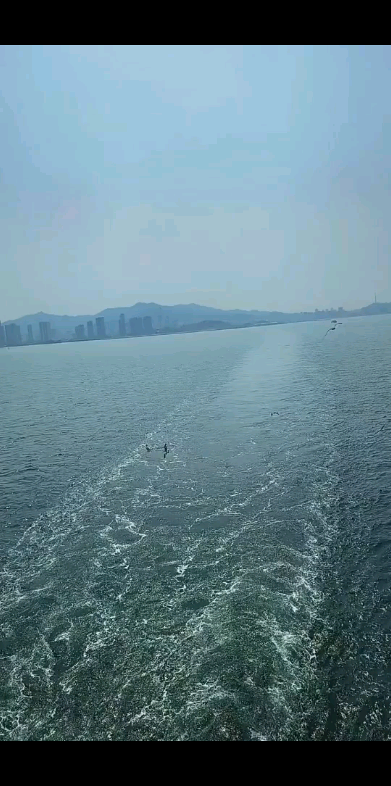 看海的心情非常好