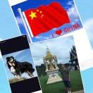 与林共舞🖐🏻海报
