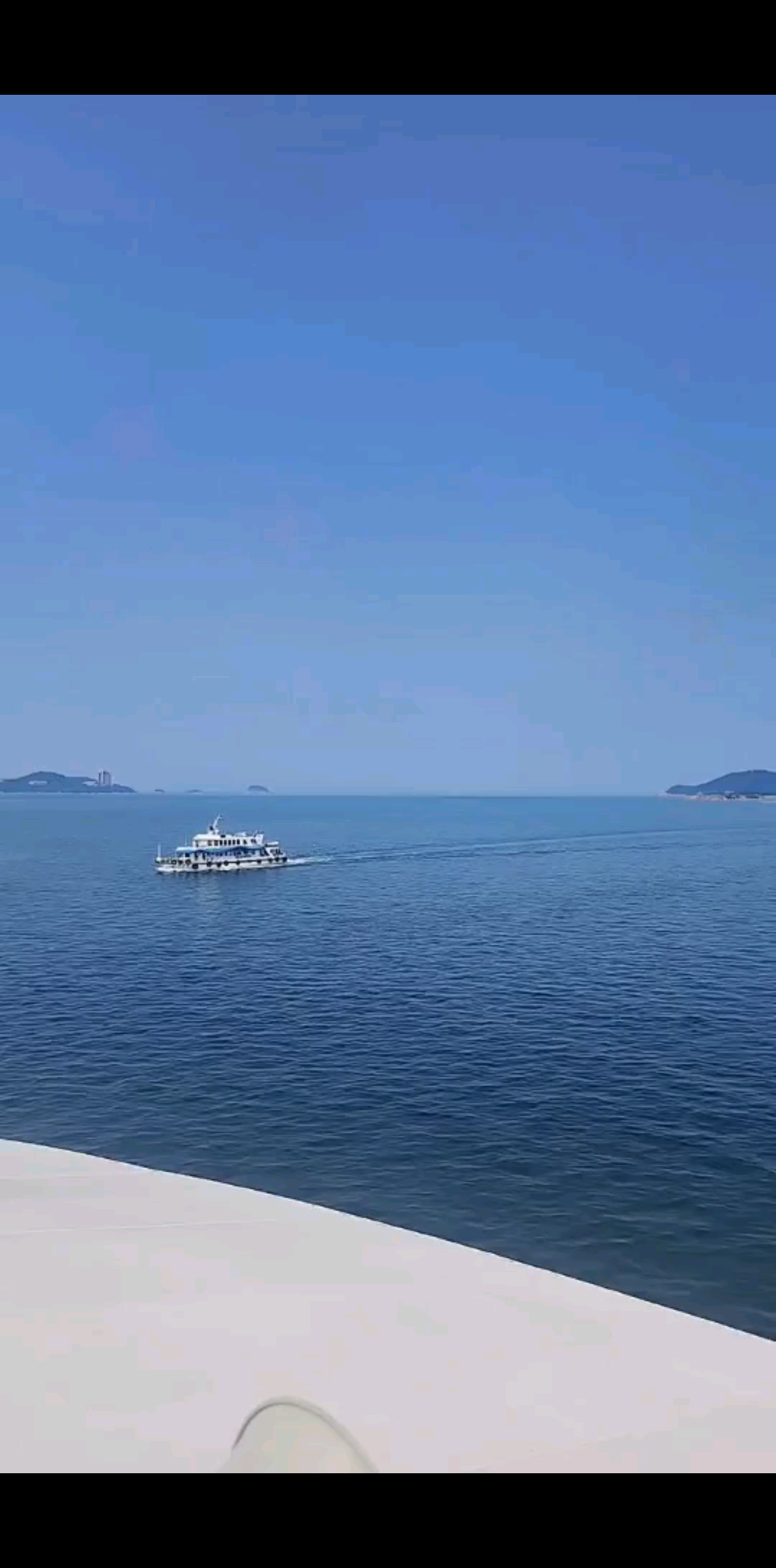 ㊗大家粽🫔”有美好相