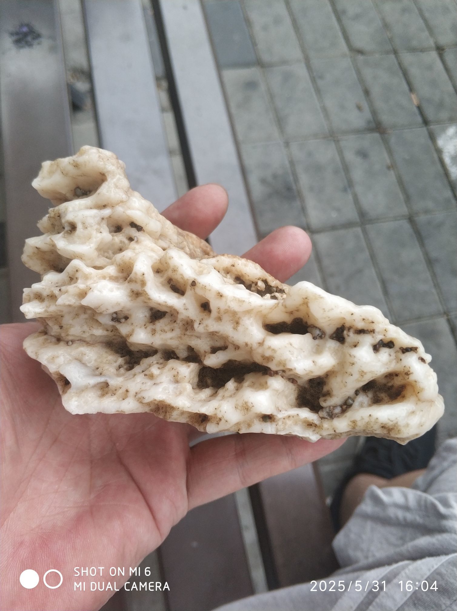 大上金货的图片