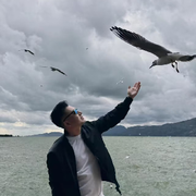 see可乐海报