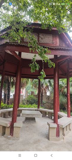 婷婷💕求过月底任务主播照片