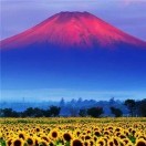 恒日l
