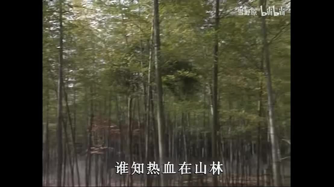 三国演义-草庐三请