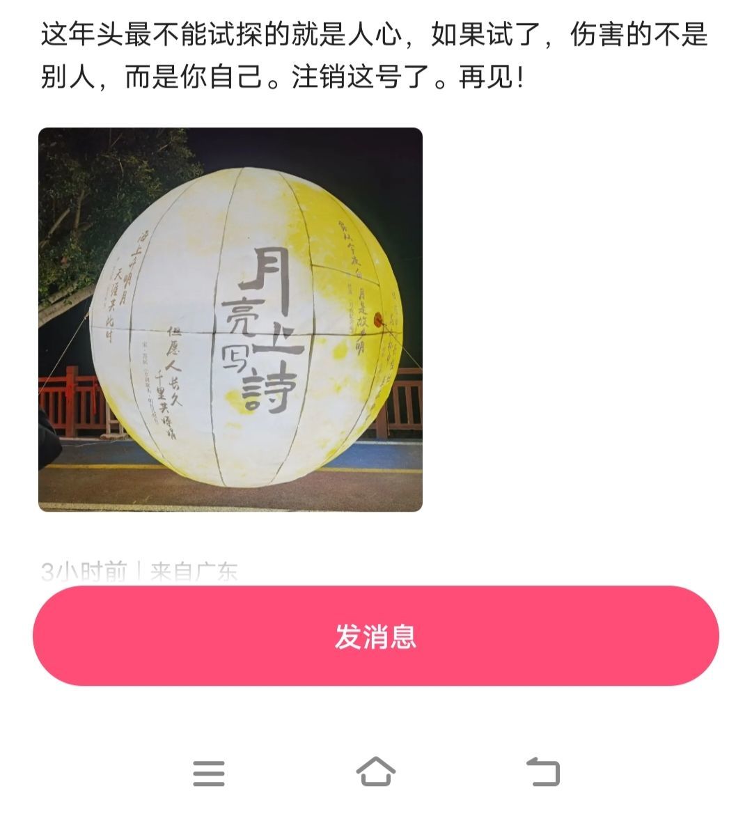 考拉小哥🐨💞主播图片