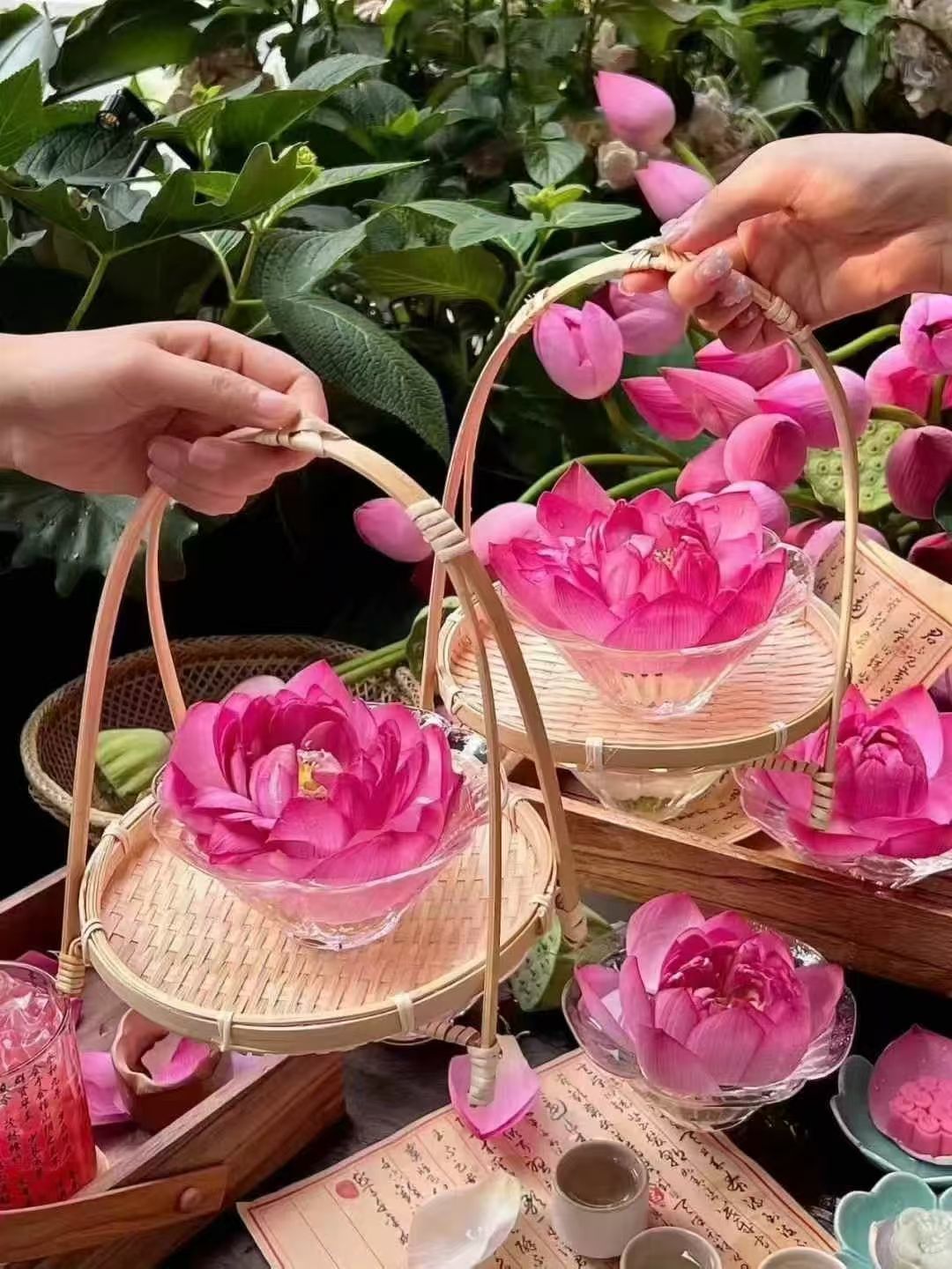 妞妞骑行中国的图片