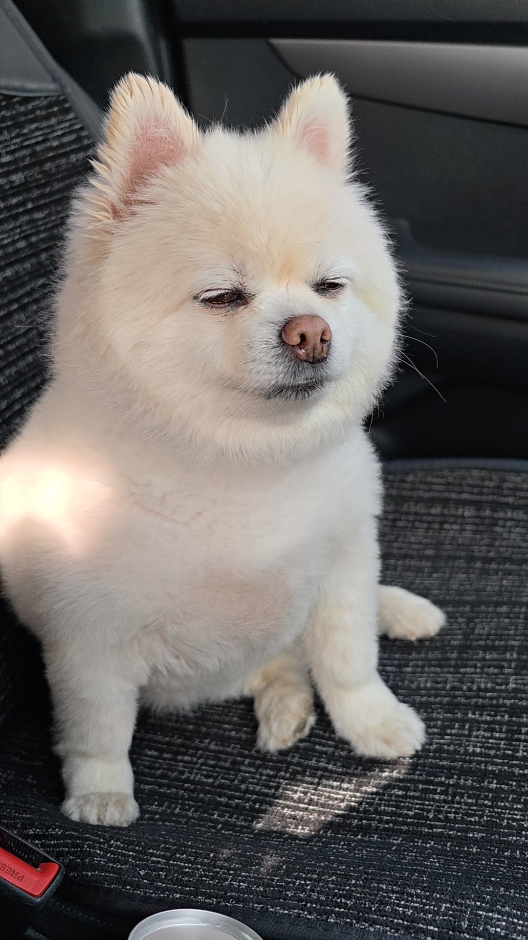 乔羽橙☂周二晚上主播图片