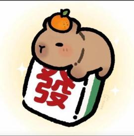 ♬关关♬主播照片