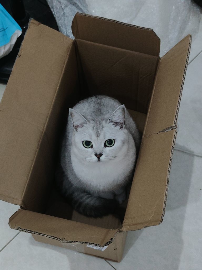 原来是然然主播图片