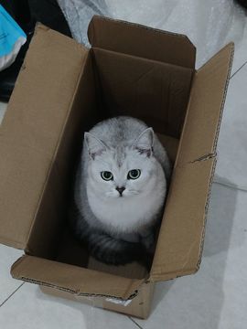 原来是然然主播照片