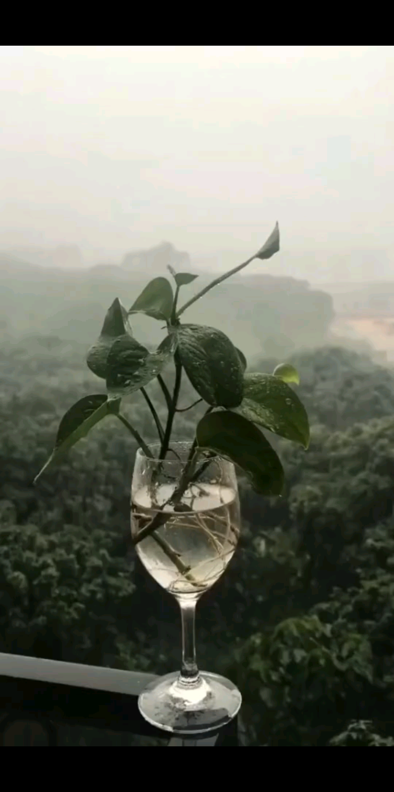 🍒🍒最公平的是时间每