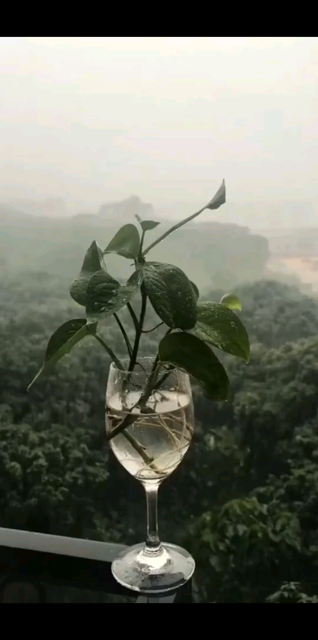 🍒🍒最公平的是时间每