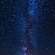 夜杀阁