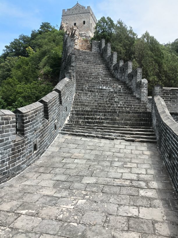 夜空中最亮的星-逃的图片
