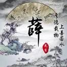 大湾居士