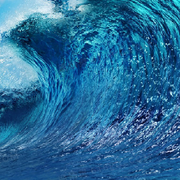 海☆洋