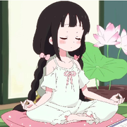 白Y鸭