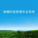 秋天jpv