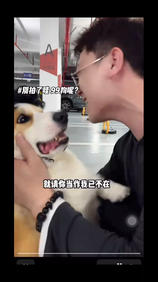 /抽
