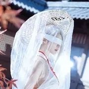 佳心173大长腿.