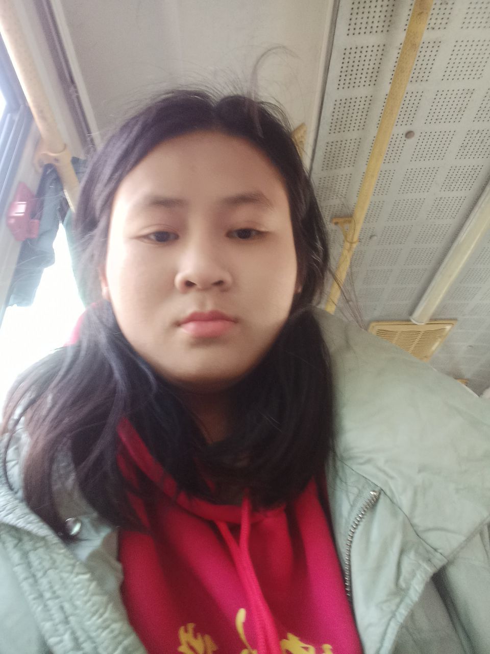 看小说的雪貂。的图片