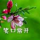 王书会0