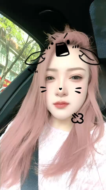 打不死的小强，今天业