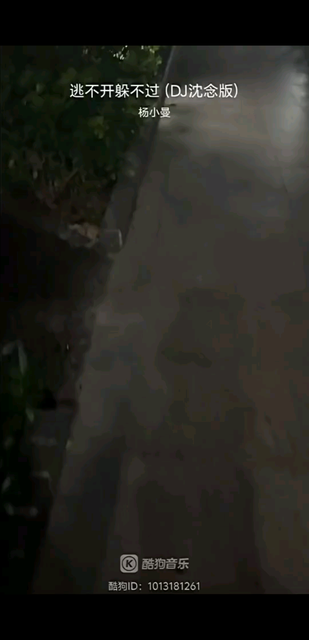 后来才明白，不是山高