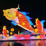 帝皇冠
