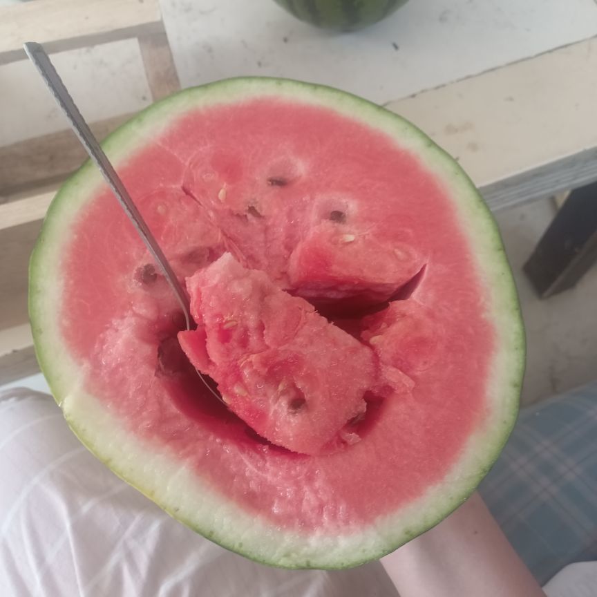 ★新人~姗姗★的图片