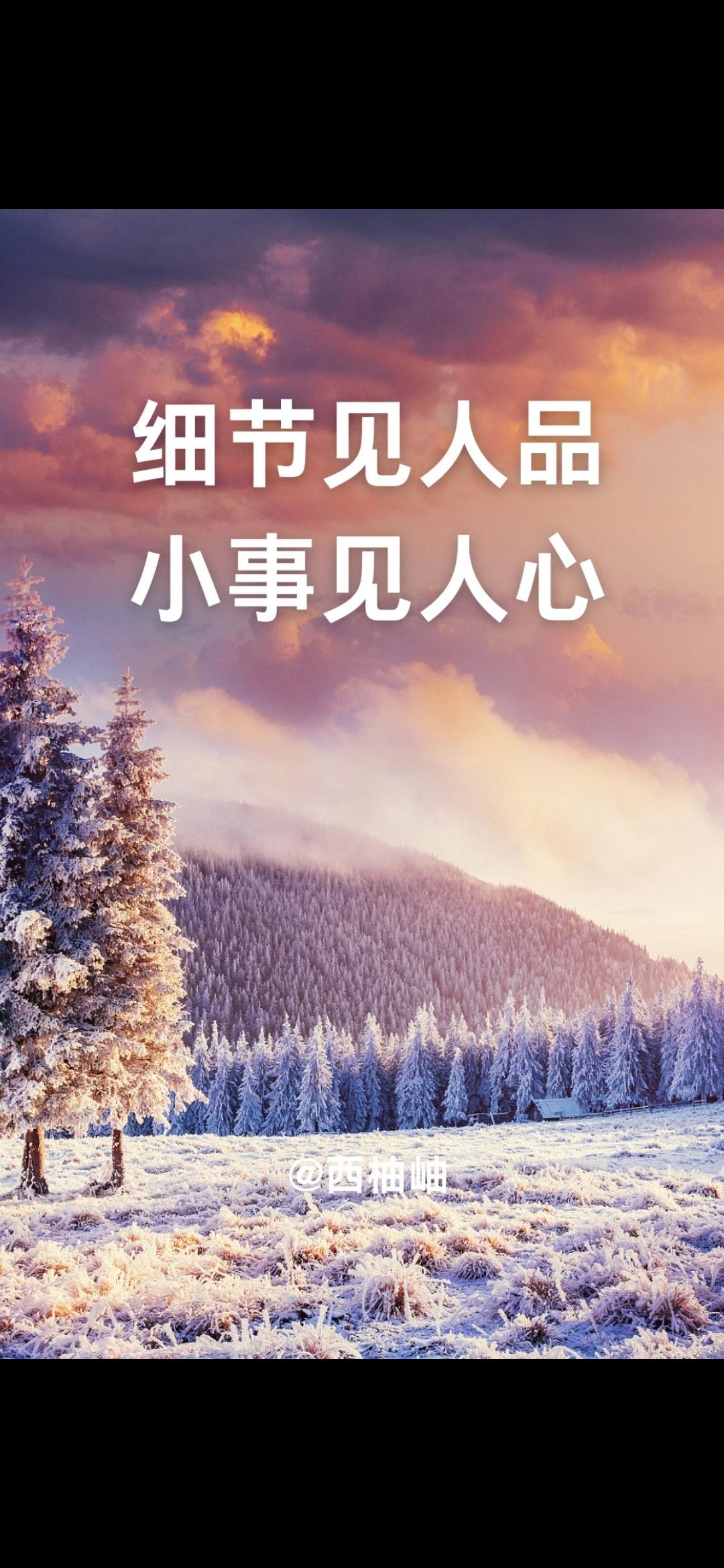 丑小鸭🌾一诺两世欢主播图片