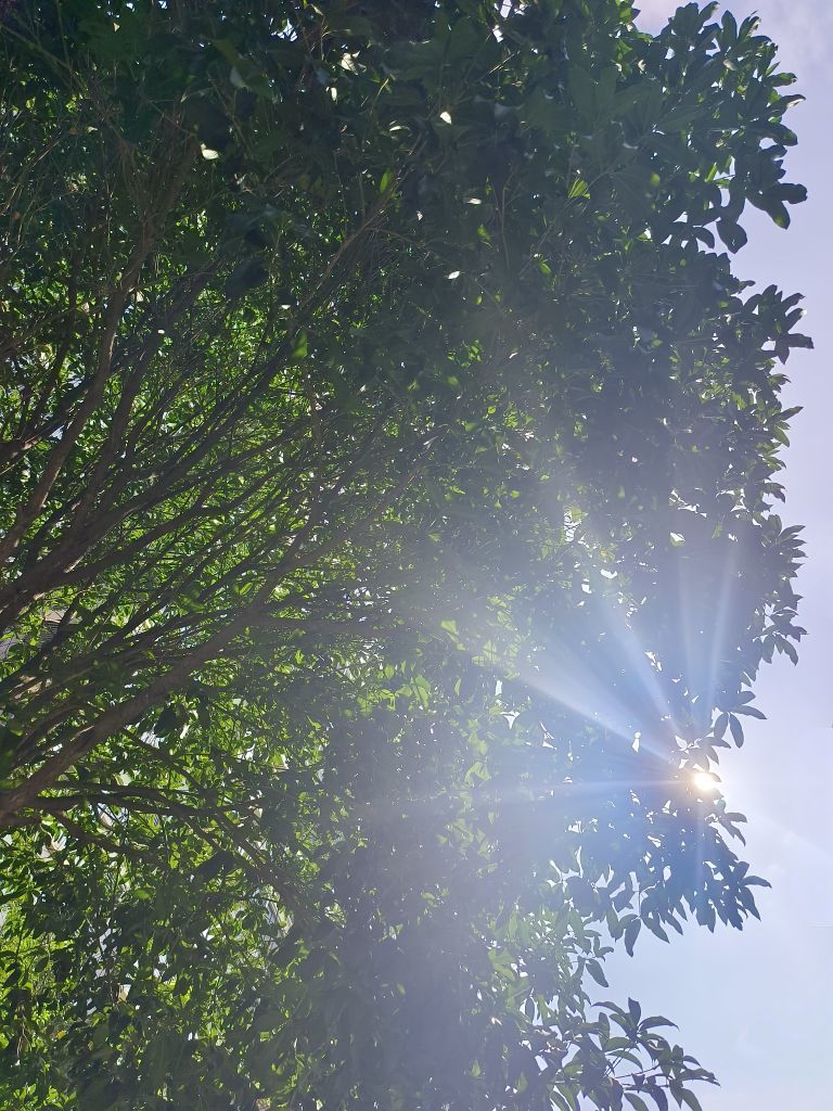 思悦🌈等你吖的图片