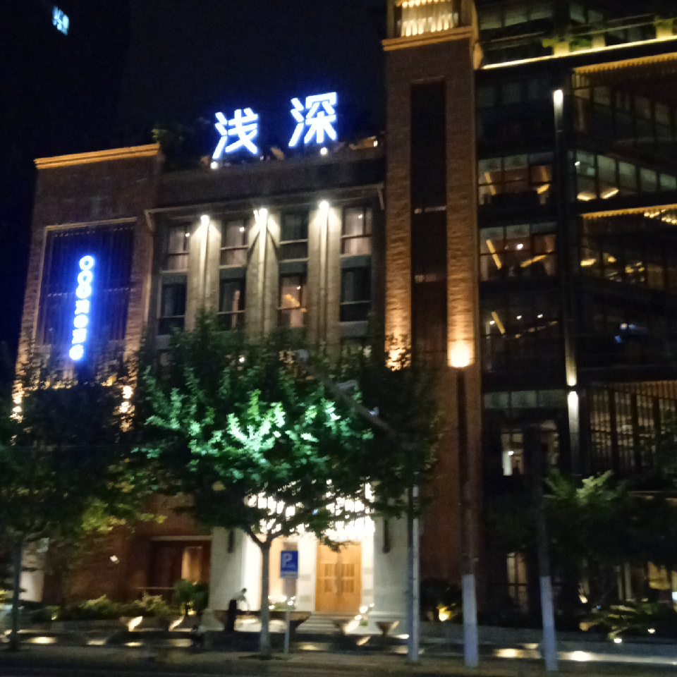 🌿风止禅定海报