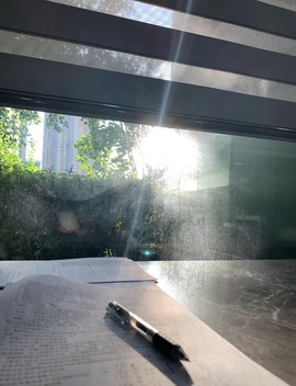 十鸢✨（备考中休）主播照片