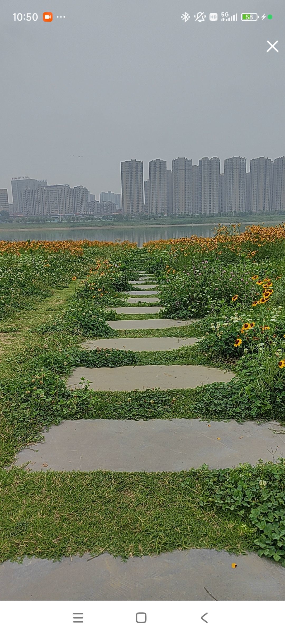 婷婷💕感恩有你陪伴的图片