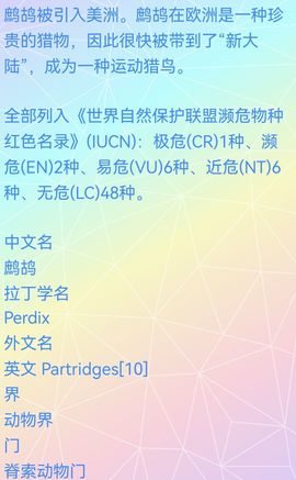 月有重圆日佳人难再寻主播照片