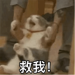 朵朵求百元榜的图片