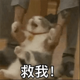 朵朵六点十分播主播照片