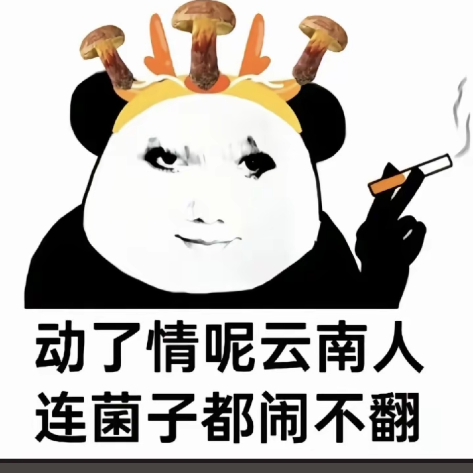 浅浅许诺海报