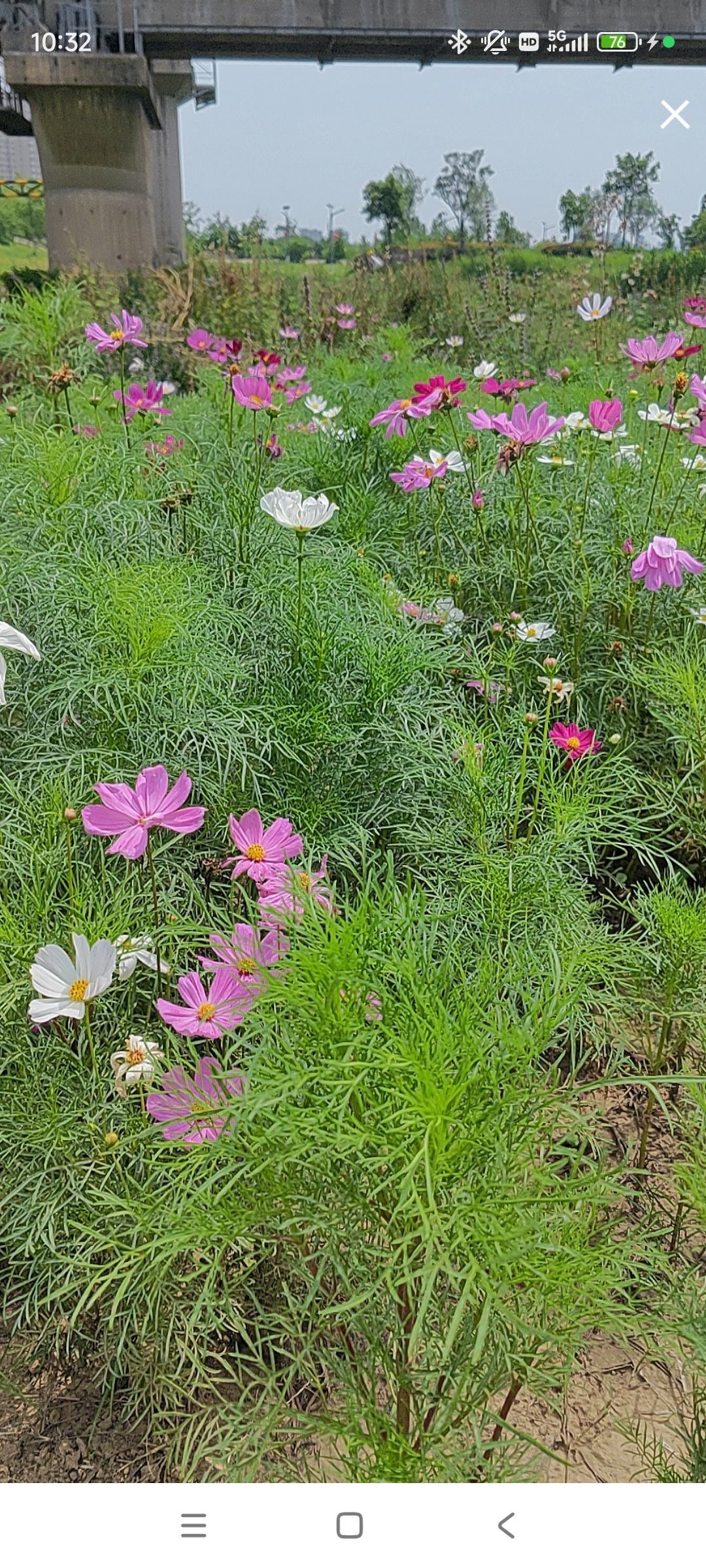 婷婷💕感恩有你陪伴的图片