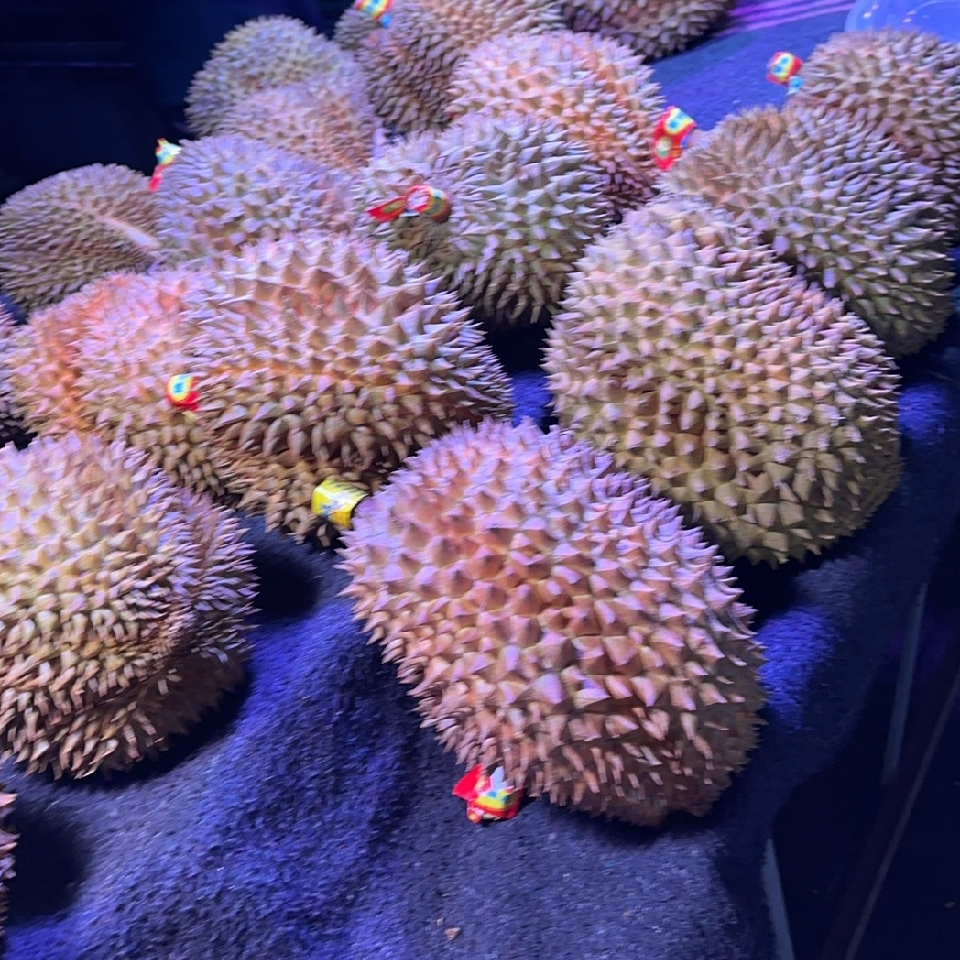【随缘不变】521海报
