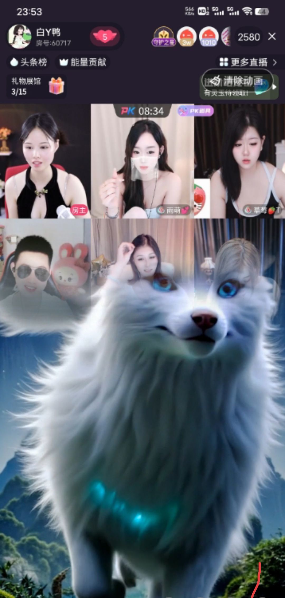 白Y鸭的图片