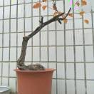 老百姓24