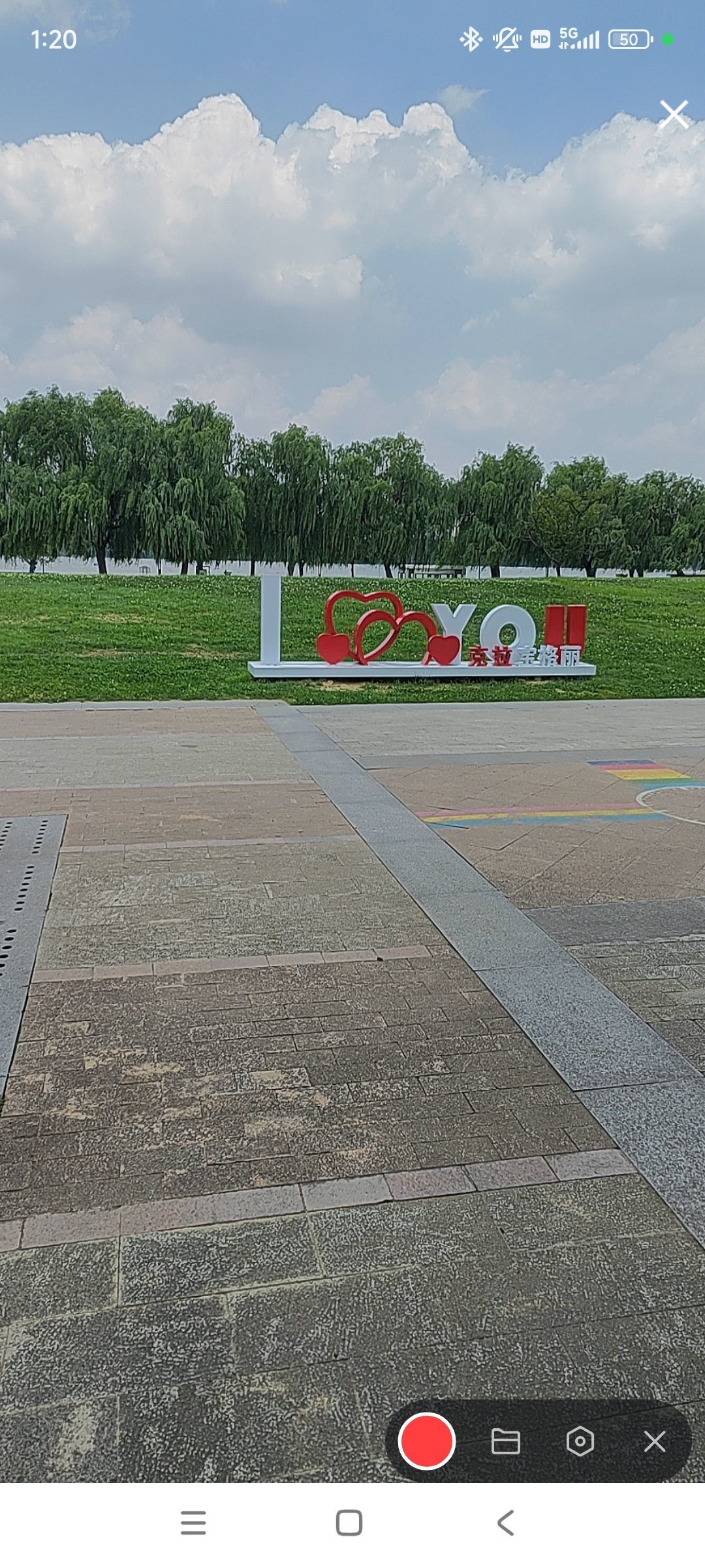婷婷💕感恩有你陪伴的图片