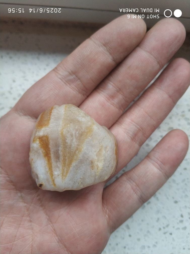 （）✓的图片