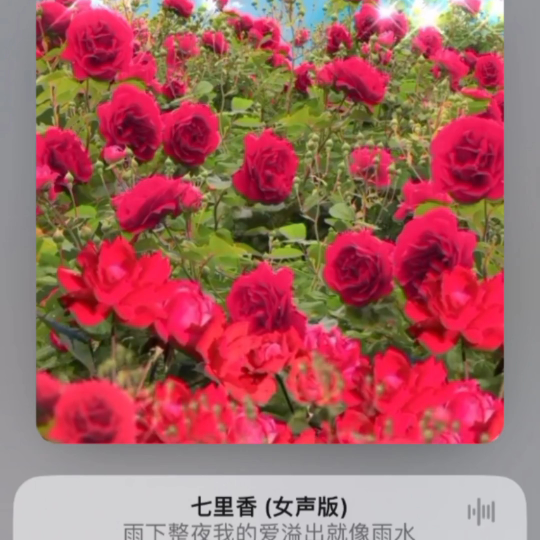马海东1547158海报