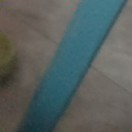 文老头2的头像