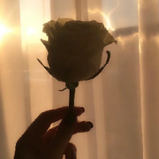 相见一月